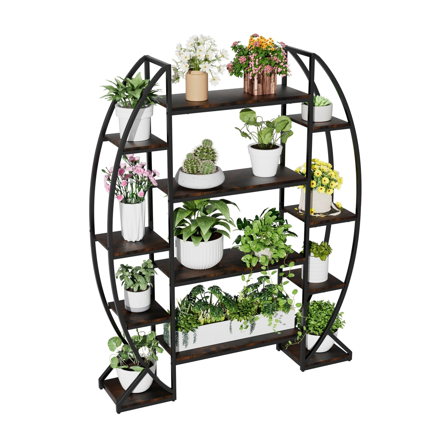 5-Tier Half-Moon Bookshelf & Plant Stand – Industrial-Style Curved Oval Rack for Home and Garden